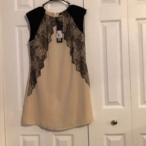 Little Mistress Lace Dress